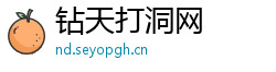 钻天打洞网